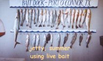 Braggin' Board: Jetty using live bait.